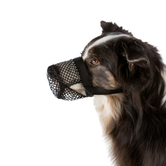 Trixie korpa za zaštitu XS 6x15cm  #TR017591